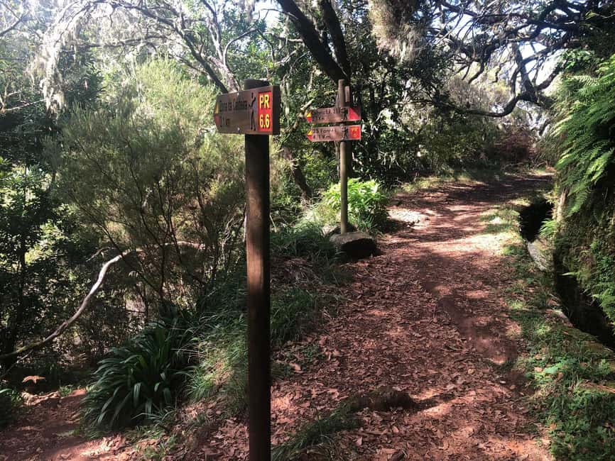 Rabaçal: 25 Fontes & Risco Levada Transfer Self-guided Hike - Why Risco may be the better waterfall