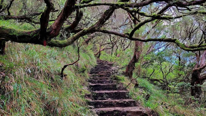 Rabaçal: 25 Fontes & Risco Levada Transfer Self-guided Hike - How to use your five hours wisely