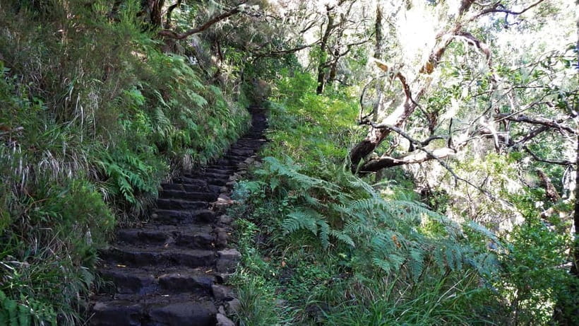 Rabaçal: 25 Fontes & Risco Levada Transfer Self-guided Hike - The early pickup is the best part of the plan