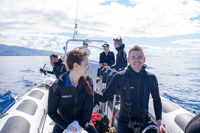 Responsible Whales and/or Dolphins Watching Tour - Looking for pilot whales and larger species