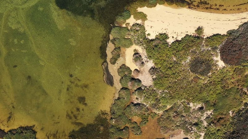 Ria Formosa: Armona and Culatra Islands 3-Hour Boat Tour - Key details before you book