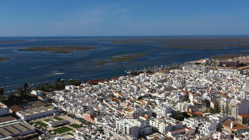 Ria Formosa: Armona and Culatra Islands 3-Hour Boat Tour - Armona Island and the quieter side of the coast