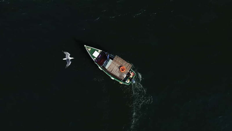 Ria Formosa: Armona and Culatra Islands 3-Hour Boat Tour - A closer look at the three-hour schedule
