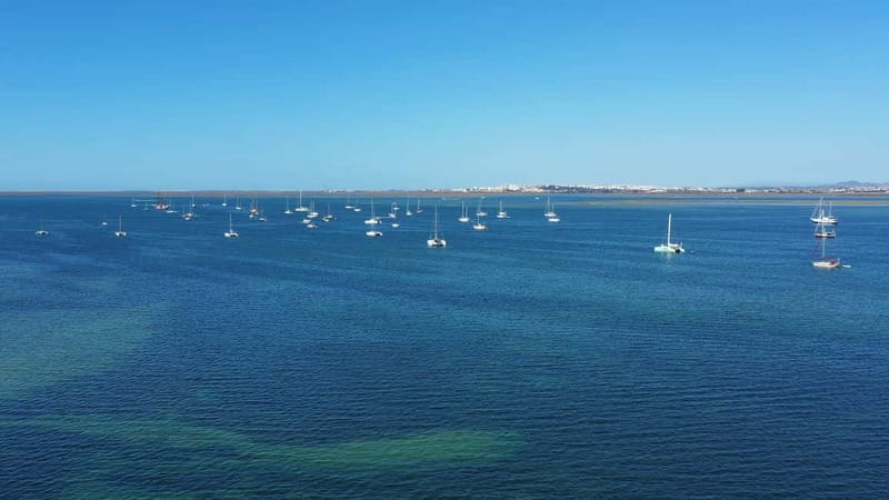 Ria Formosa: Armona and Culatra Islands 3-Hour Boat Tour - Who will enjoy this outing most?