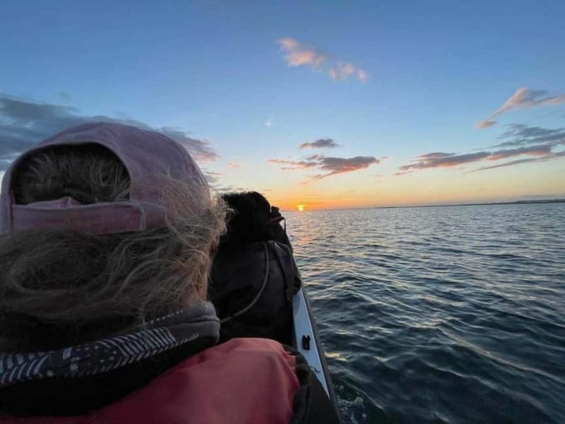 Ria Formosa: Armona and Culatra Islands 3-Hour Boat Tour - Practical tips for making the most of it