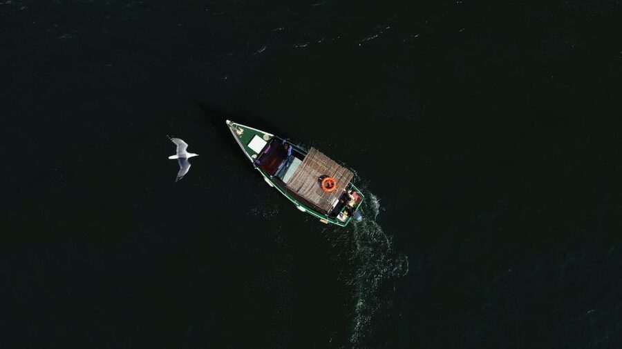 Ria Formosa: Armona and Culatra Islands 3-Hour Boat Tour - Should you book the Armona and Culatra cruise?