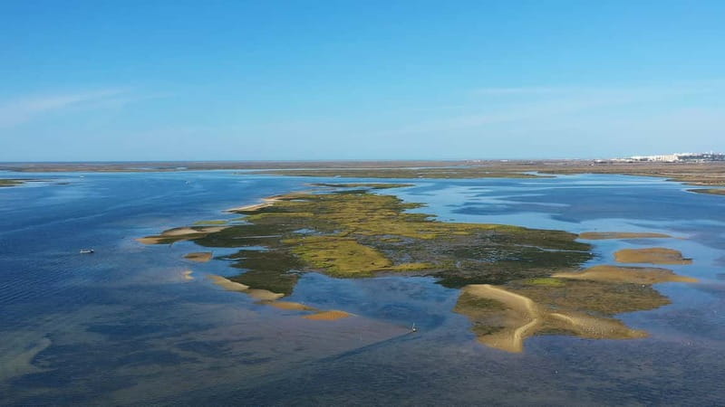 Ria Formosa: Armona and Culatra Islands 3-Hour Boat Tour - Culatra Island: a real community without cars