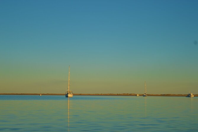 Ria Formosa & Ilhas: Sunset Boat Trip - Who will enjoy this boat trip most?