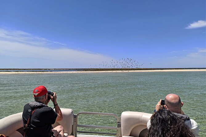 Ria Formosa Natural Park and Islands Boat Cruise from Faro - Leaving Faro Marina on a boat for 15