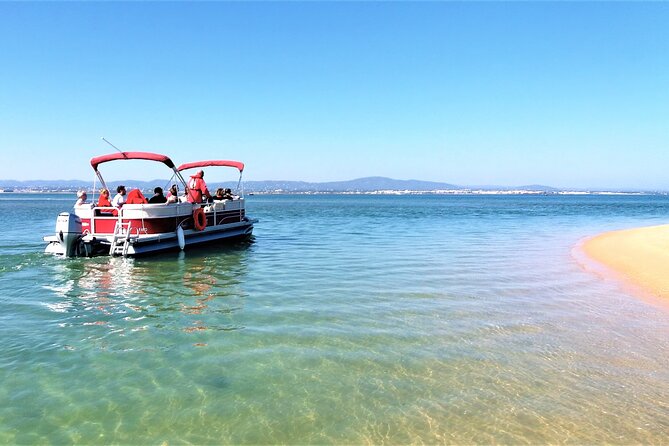 Ria Formosa Natural Park and Islands Boat Cruise from Faro - Barreta Island: dunes, shells, and a clear-water swim