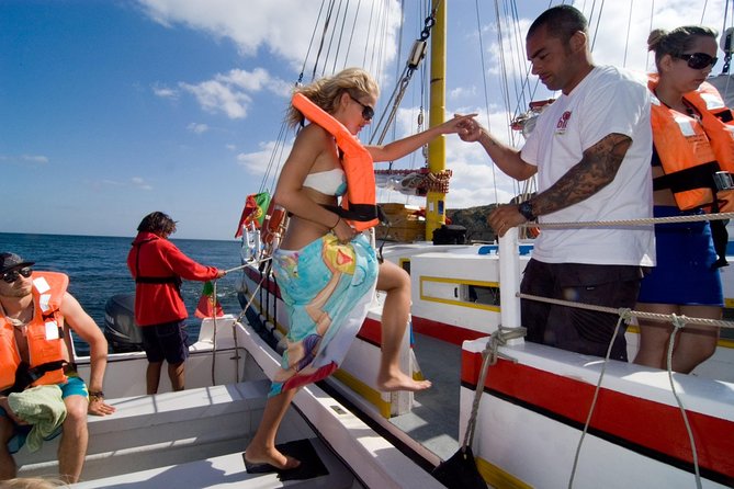 Sail, Swim & Tapas - Ponta da Piedade from a smaller boat