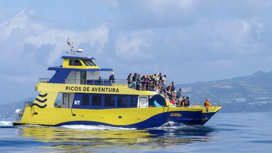 São Miguel Azores: Half-Day Whale Watching Trip - Meeting the crew and preparing for the Atlantic