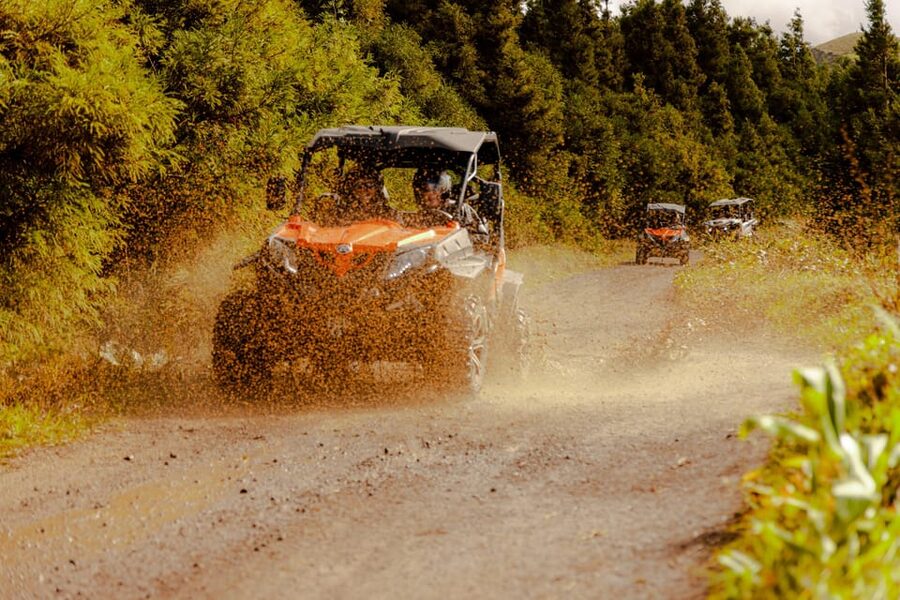 Sao Miguel: Buggy Tour Around Sete Cidades Volcano - What the guides add to the experience