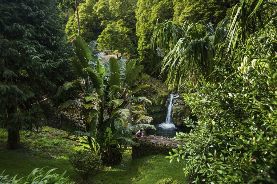 São Miguel East: Full-Day Van Tour with Lunch - Underground cooking makes lunch memorable