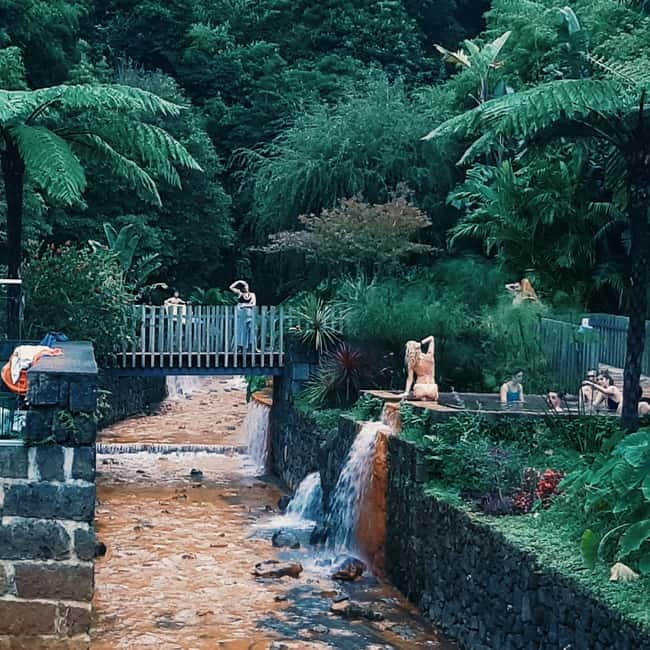 São Miguel: Furnas Volcano & Tea Plantation Tour & Lunch - Key points at a glance