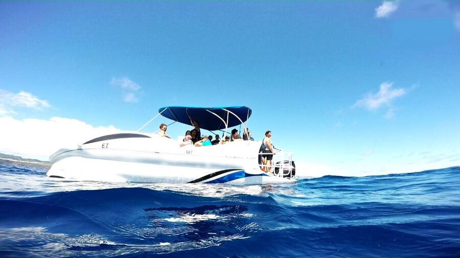 São Miguel: Glass Bottom Boat Tour with Snorkeling - The snorkeling portion: helpful for beginners, active enough for swimmers