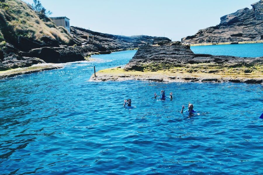 São Miguel: Glass Bottom Boat Tour with Snorkeling - Should you book the OceanEye Azores tour?