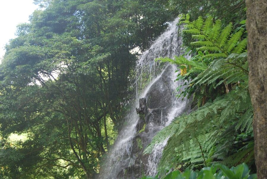 São Miguel: Nordeste, Cliffs & Waterfall Day Trip with Lunch - Key points to know before booking
