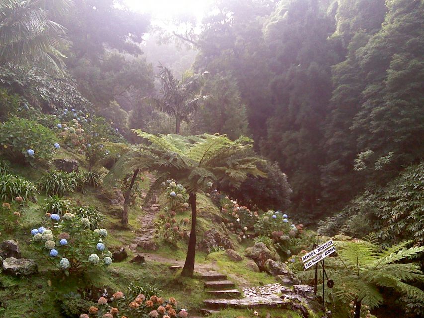 São Miguel: Nordeste, Cliffs & Waterfall Day Trip with Lunch - Why Nordeste is worth the long day