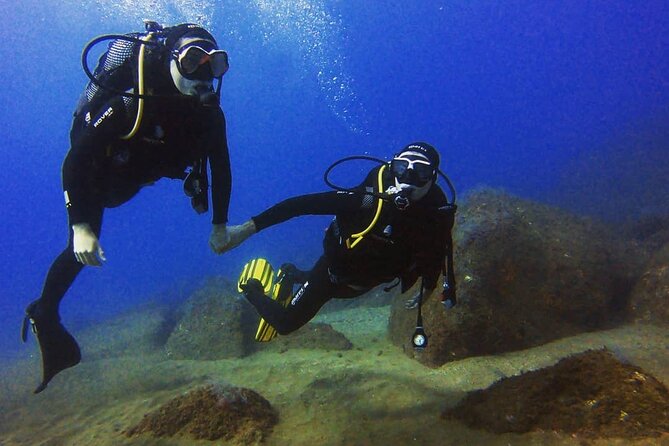 Scuba Diving Experience in Madeira - Entering the sea near Funchal