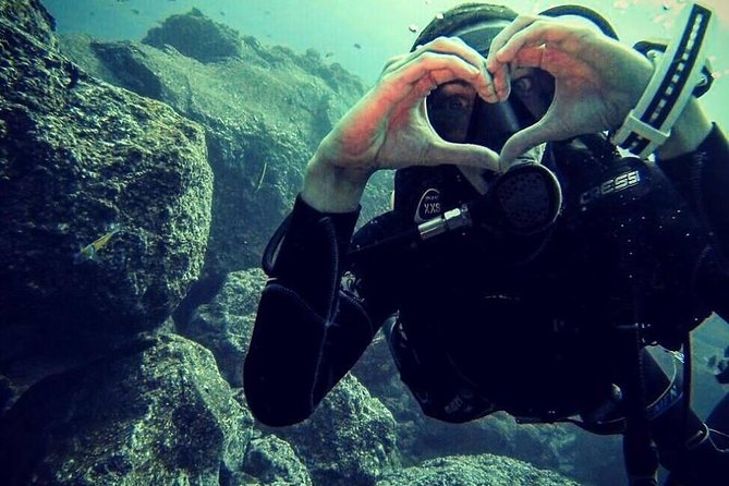 Scuba Diving Experience in Madeira - Instructor support is the strongest part