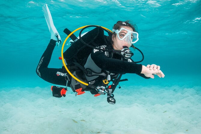 Scuba Diving Experience in Madeira - Pool practice before the sea session