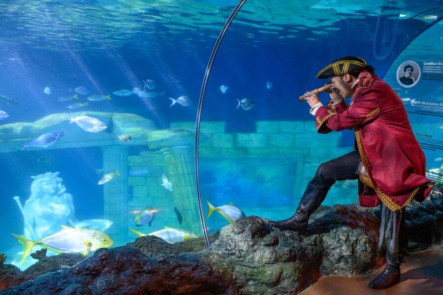 SEA LIFE Porto Full-Day Entrance Ticket - Starting at Castelo do Queijo beside the Atlantic