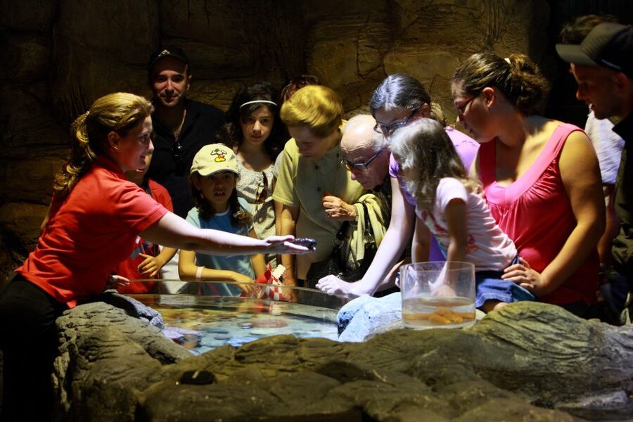 SEA LIFE Porto Full-Day Entrance Ticket - Practical planning for a better visit