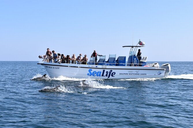 Sealife Sea Safari, Dolphin Watching with Marine Biologist's Lagos - Key points to know before you book