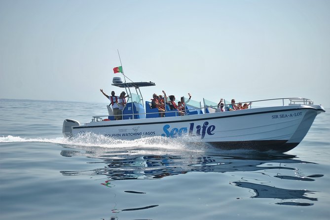Sealife Sea Safari, Dolphin Watching with Marine Biologist's Lagos - Leaving from Marina de Lagos