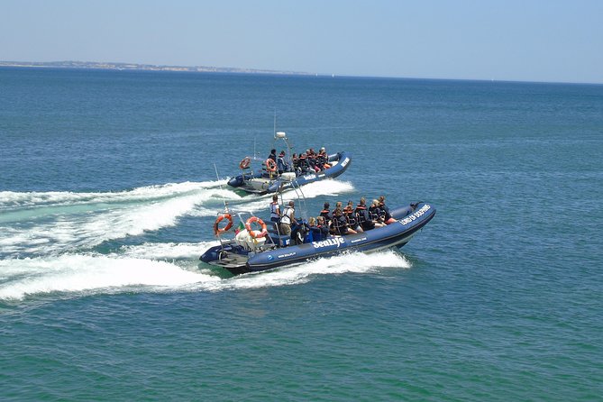 Sealife Sea Safari, Dolphin Watching with Marine Biologist's Lagos - What a successful sighting can look like