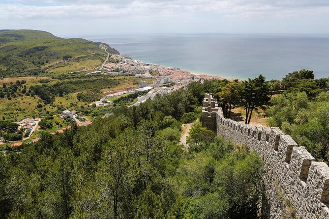 Sesimbra: Arrábida Dolphin and Whale Watching tour with biologist - Key points before you book
