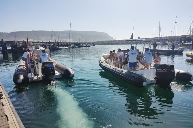 Sesimbra: Arrábida Dolphin and Whale Watching tour with biologist - Comfort, safety, and the small-boat tradeoff