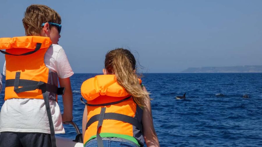 Sesimbra: Arrábida Dolphin Watching Boat Tour with Biologist - Who will enjoy this boat tour most?