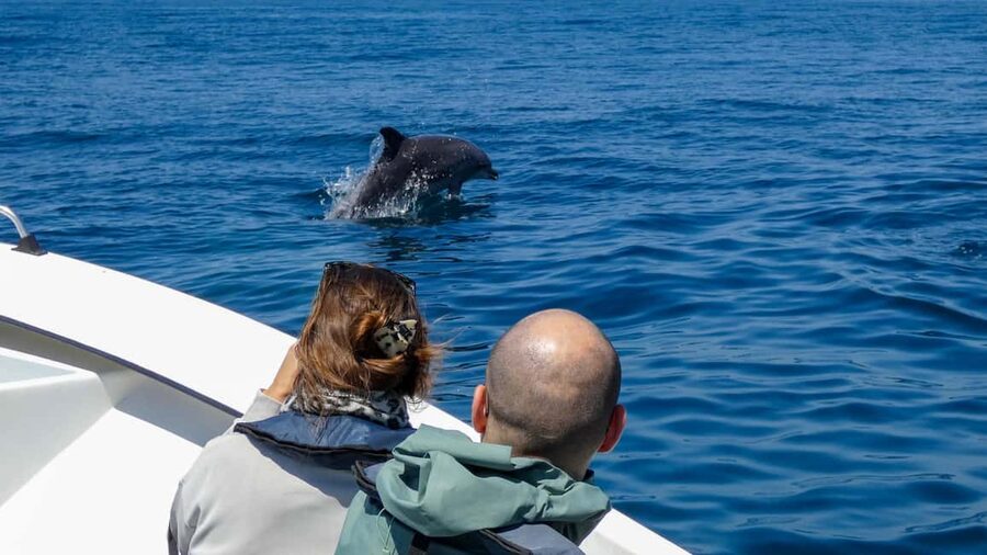 Sesimbra: Arrábida Dolphin Watching Boat Tour with Biologist - Returning along the Sesimbra coast