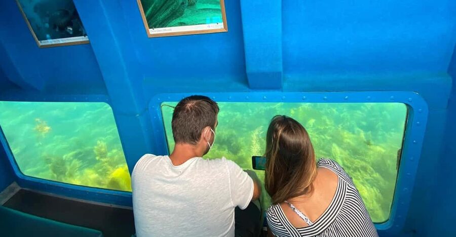 Sesimbra: Family Friendly Boat Sea Tour w/ Submarine Vision - Mula Bay and the small coves along the coast