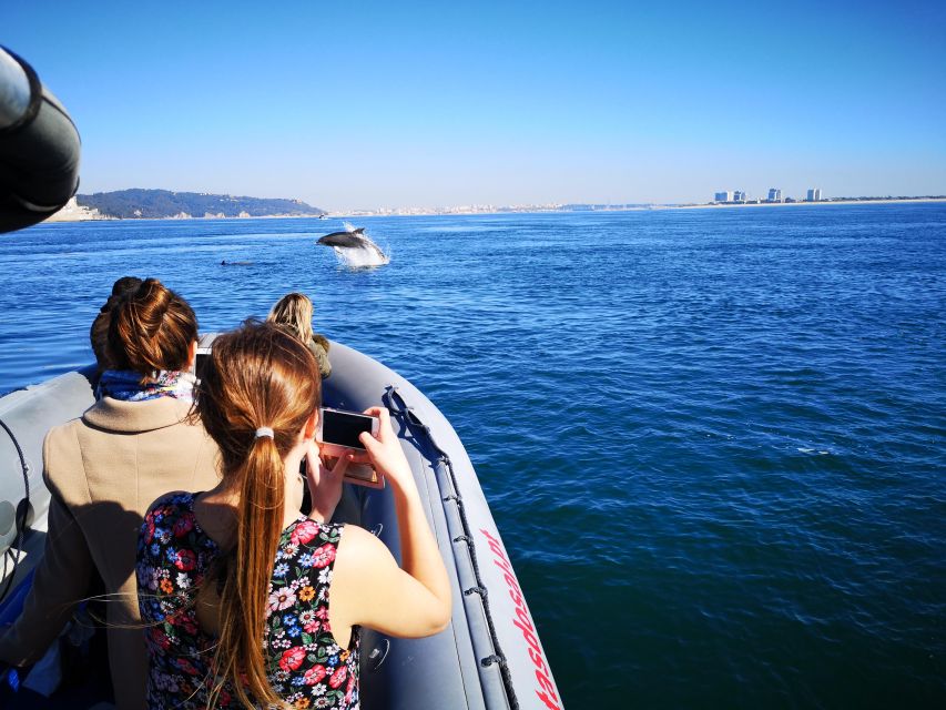 Setúbal: Dolphin Watching Boat Tour - Is $53 a fair price for two hours?