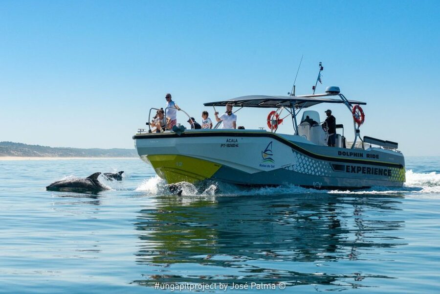 Setúbal: Dolphin-Watching Boat Tour - Searching the Sado Estuary and Open Sea
