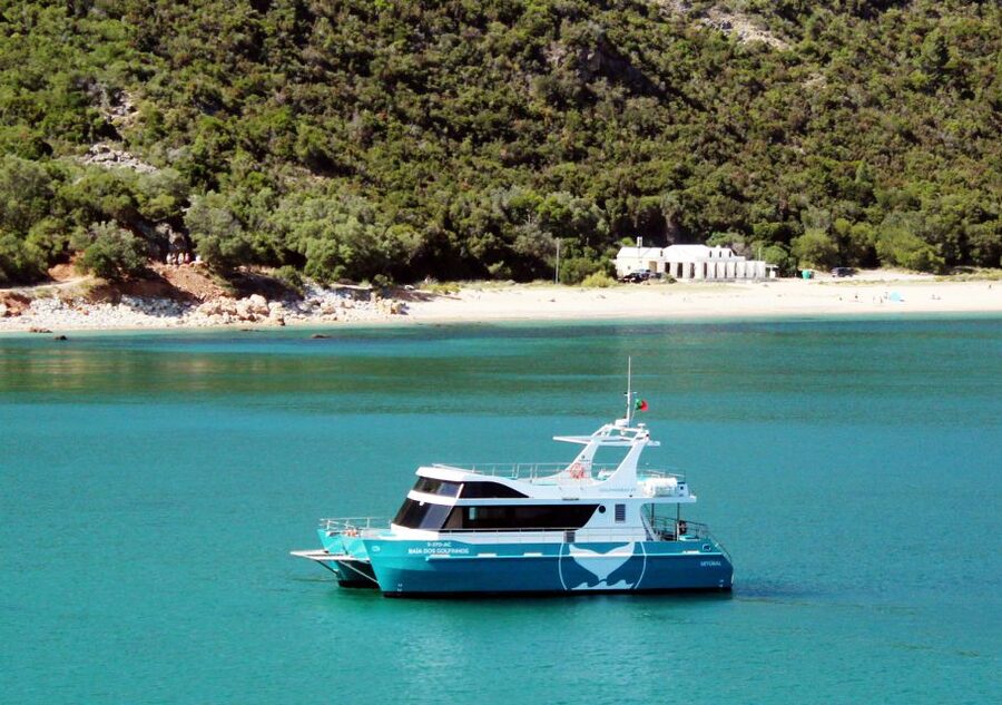 Setúbal: Dolphin Watching Tour - Key things to know before sailing