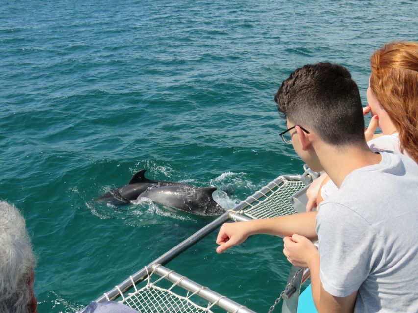 Setúbal: Dolphin Watching Tour - From the yellow clock tower to the outer dock