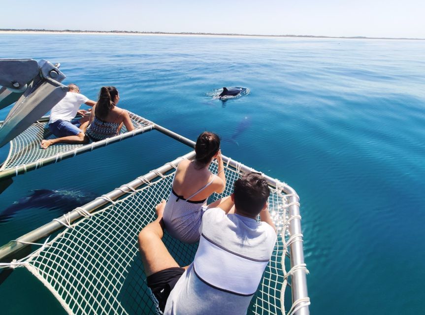 Setúbal: Dolphin Watching Tour - Who will enjoy this tour most