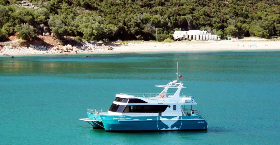 Setúbal: Dolphin Watching Tour - Why the catamaran makes a difference