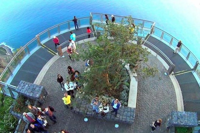 Signature Wine Tastings, Skywalk, Nature 4x4 Open Roof Expedition - Why this Madeira wine tour works so well