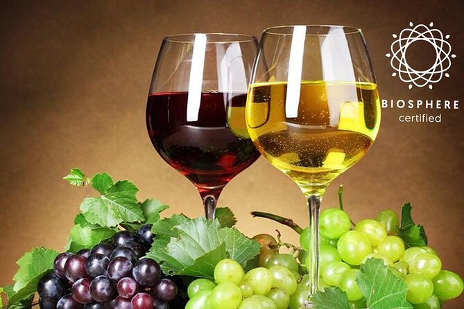 Signature Wine Tastings, Skywalk, Nature 4x4 Open Roof Expedition - Cabo Girão and the glass platform