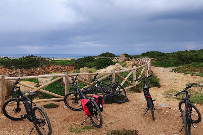 Sintra & Cascais de E-Bike Tour - Riding Through Sintra Natural Park