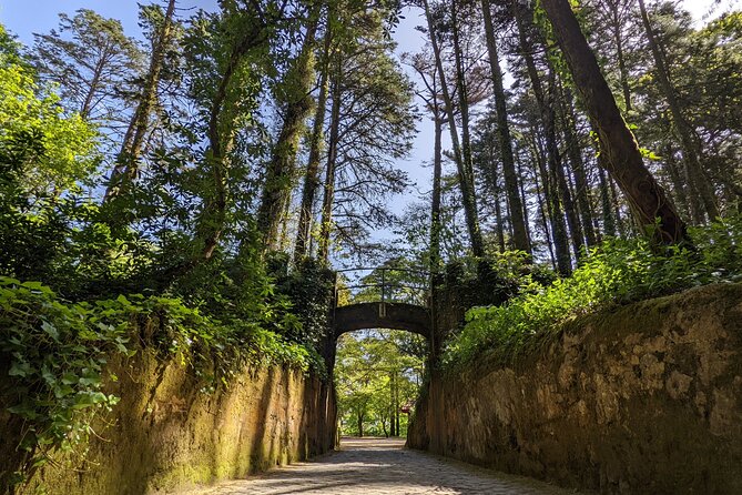 Sintra-Cascais-Pena Palace 8-People Small Group Tour from Lisbon - What the $56.53 price really buys