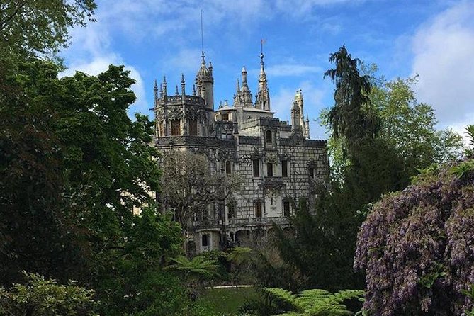 Sintra Jeep Safari - Queijadas and ginja, small tastes with local character