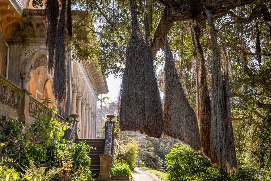 Sintra: Monserrate Palace & Park Ticket - Why Monserrate feels different from Sintra’s other palaces