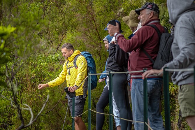 Skywalk 4x4 Experience and Rabacal 25 Fountains Levada Walk - Crowds and timing matter on the levada