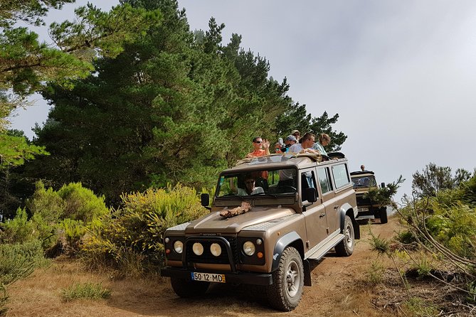 Skywalk 4x4 Experience and Rabacal 25 Fountains Levada Walk - The 4x4 drive turns transport into an attraction